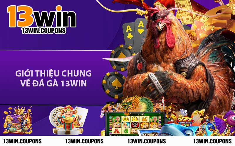 Giới Thiệu Chung Về Đá Gà 13WIN
