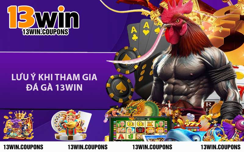 Lưu Ý Khi Tham Gia Đá Gà 13WIN